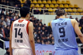 王治郅为什么不去篮协?一位篮球传奇的职业选择与人生思考 王治郅为什么不去篮协?一位篮球传奇的职业选择与人生思考