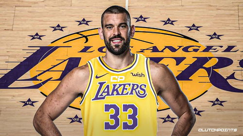 2026年NBA湖人阵容，新老交替中的冠军拼图
