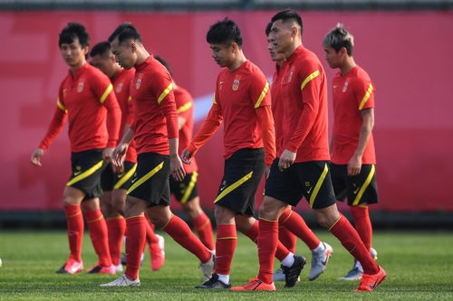 国足世界杯中国队名单，梦想照进现实，我们准备好了吗？
