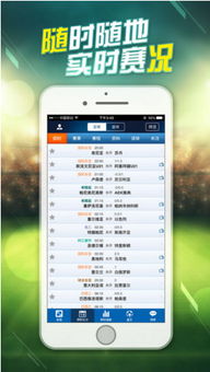 球探比分，实时查询足球赛果的必备利器
